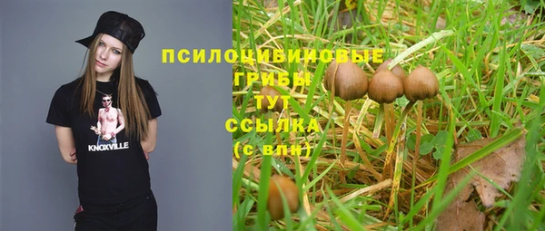 соль ск Яранск