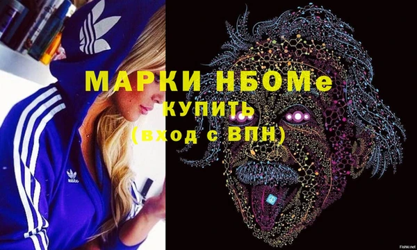 PSILOCYBIN Вяземский