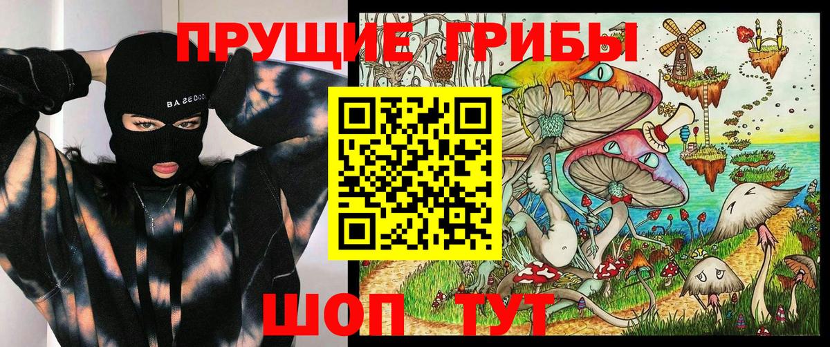 Батайск  Галлюциногенные грибы Psilocybine cubensis  Вход с VPN 